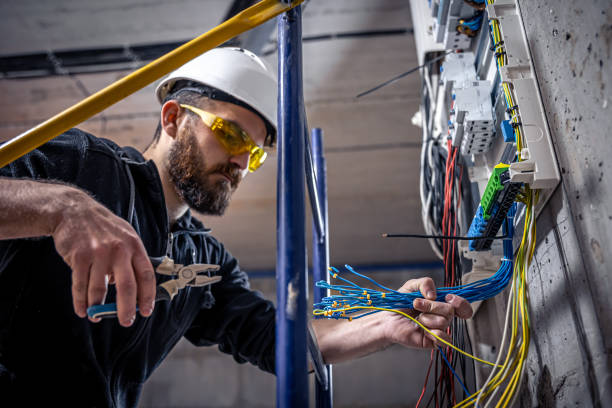 Best Electrical Repair Services  in Twin Grove, IL
