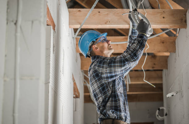Best Electrical Troubleshooting Services  in Twin Grove, IL