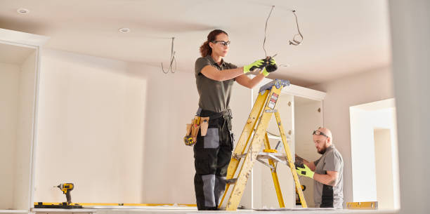 Best Generator Installation Services  in Twin Grove, IL