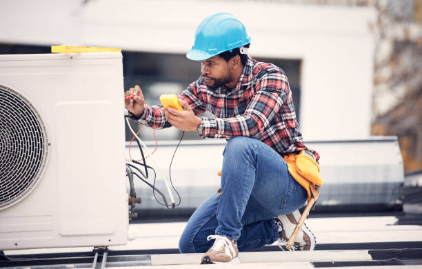 Best Licensed Electrician  in Twin Grove, IL