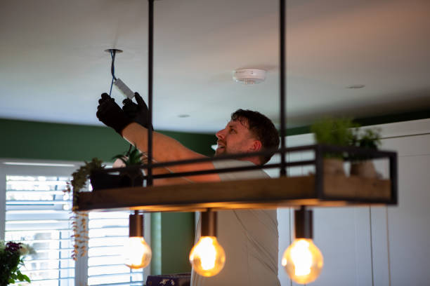 Best Licensed Electrician  in Twin Grove, IL