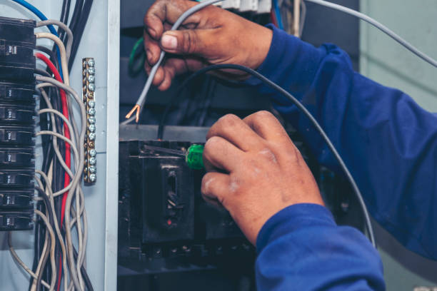 Best Local Electrician Companies  in Twin Grove, IL