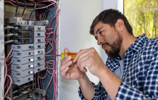 Best Electrical Rewiring Services  in Twin Grove, IL